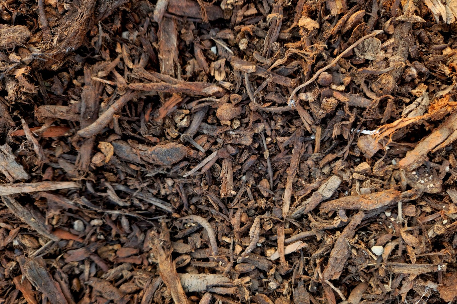 Les techniques de paillage : protéger et nourrir le sol toute l’année