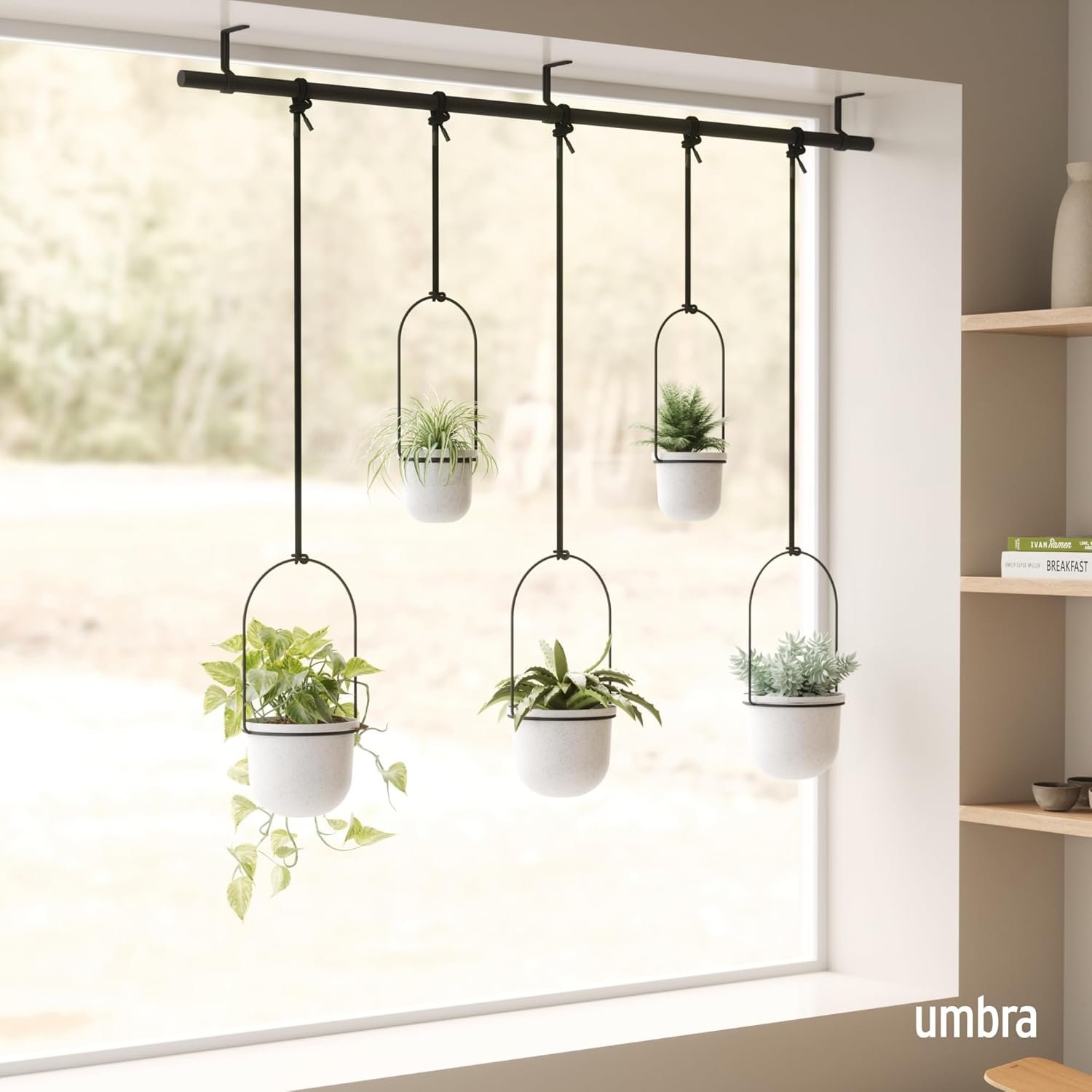 Elegant Hanging Planter